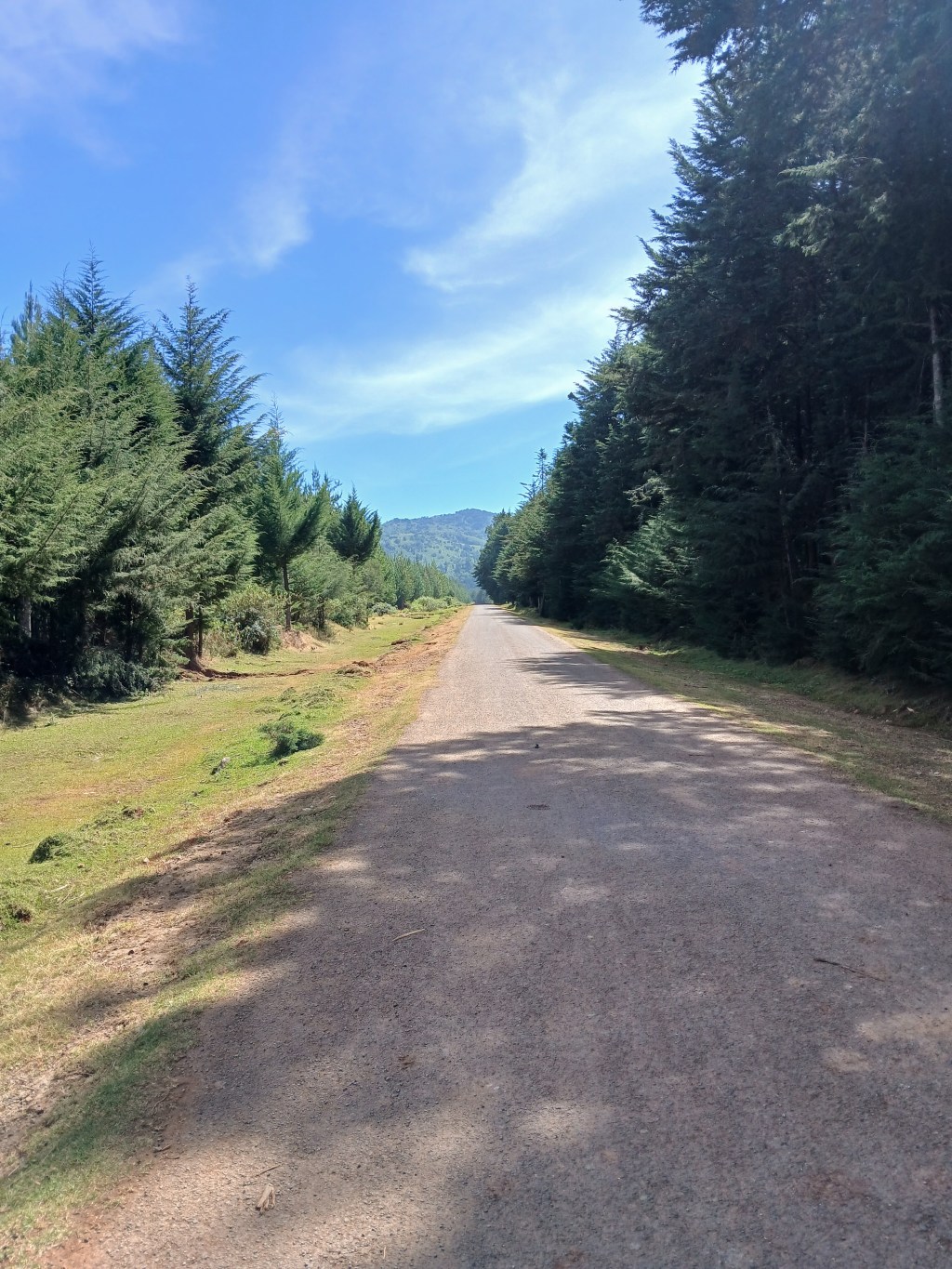 The Lesson or the&nbsp;Life?